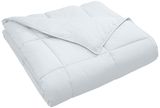 Twin Size Colorful Soft Down Alternative Quilt