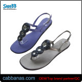 New Arrival Embelished Beach Thong Sandals for Womens