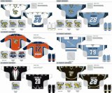 Customized Echl Toledo Walleye Ice Hockey Jersey