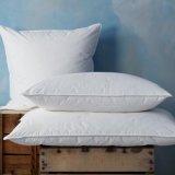 Cheap Wholesale Hotel Duck Down/Feather Pillow (DPH7759)
