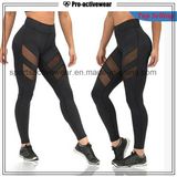 Free Sample Sports Wear Fitness Wear Fitness Yoga Pants