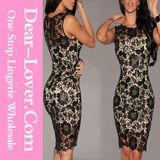 Black Crochet Nude Illusion Bodycon Dress