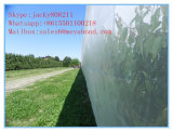 Anti Insect Net with 100% HDPE with UV 5 Years Insect Screening