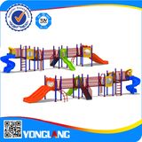 Amusement Park Gym Outdoor Playground Equipment (YL73970)