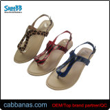 Durable Latest Design Casual Thong Sandals for Womens