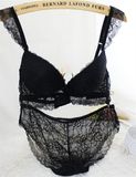 Factory Pirce Elegant Lace Lingerie Bra Sexy Panty (EPB305)