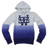Custom Cotton/Polyester Printed Hoodies Sweatshirt of Fleece Terry (F126)
