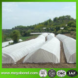 Virgin HDPE Insect Proof Net Anti Bee Nets for Sale