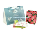 High Quality Printing Custom Paper Gift Bag
