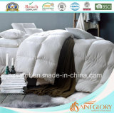Natural Down Duvet White Goose Feather and Down Comforter
