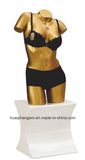 Woman Underwear Mannequin Plastic Underwear Mannequins