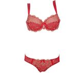 Latest Design Elegant Lace Women Bra and Panty (FPY330)