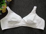 Russia Style Thin Cup Big Size Bra (CS902)