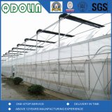 Horticulture House Insect Protection Net