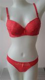 Factory Price Elegant Lace Bra Set (CS16921)