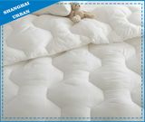 Cotton Polyester Hotel Bedding Comforter
