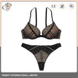 New Design Womens Lingerie Fancy Bra Set