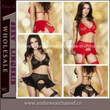 Sexy Lady Transparent Ruffled Bra Set with Garter Lingerie (T1176)