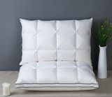 Modern Cotton Cover Duck Down and Feather Three Layers Gusset Pillow