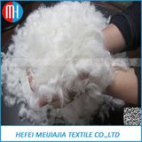 2~4cm or 4~6cm Duck Feather Price