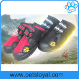 Waterproof Pet Mesh Shoes Best Pet Shoes Dog Boots