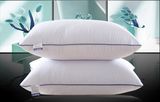 Hot Sale Cheap Wholesale Feather Down Pillow