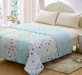 Super Soft High Quality Summer Quilt (T146)