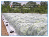 High Quality Agriculture Greenhouse Anti Insect Net, Window Screen Mesh