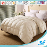 Wholesale 100% Cotton White Comforter