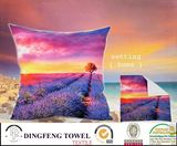 2016 New Design Digital Printing Cushion Cover Df-8692