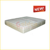 Golden Furniture Offer Low Price Bed Mattress for New Model