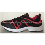 Hot Sale Footwear High Quality Sneaker Sport Shoes Casual Shoes