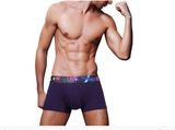 Fashion Printed Waistband Knitted Sexy Men Boxers