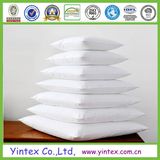 America, Canada 95/5 Feather Down Pillow