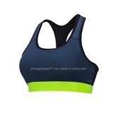 Topquality Mesh Fitness Wear Ladies Women's Running Seamless Sports Bra