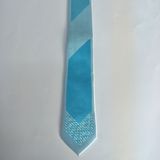 Men's Skinny Ties (2354)