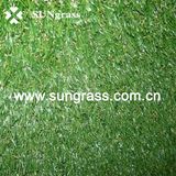 Synthetic Grass Carpet for Balcony or Garden (SUNQ-AL00013)
