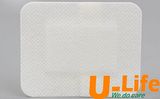 Nonwoven Wound Dressing