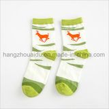 Popular Fashion Market for Ladies Cotton Socks