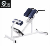 Plate Loaded Hammer Strength Back Extension Machine Osh054 Sprots Equipment