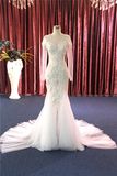 Embroidery Beading Lace Mermaid Long Sleeve Wedding Dress