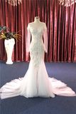 Embroidery Beading Lace Mermaid Long Sleeve Wedding Dress