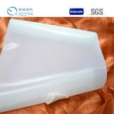 Hot Sell Plastic Hook and Loop Injection Hook Hook Loop Tape