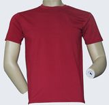 Mesh Fabric 100% Polyester Moisture Wicking T-Shirt - 002