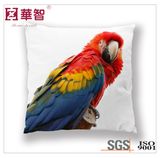 Plush Fabric 40X40cm Decoration Cushion