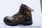 Best Selling Climbing Styles Safety Shoes (HD. 0823)