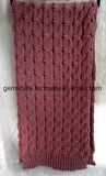 Fashion Cable Knitted Scarf with Rib or Tassel (Hjs21)