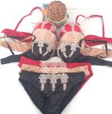 2016 New Design Embroidery Lace Ladies Bra Set (FPY441)