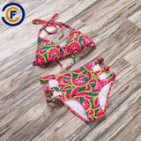 New Style Fashion Sexy Patterned Bikini Lady Swimwear