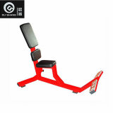 Utility Bench-75 Degree Osh065 Gym Commercial Fitness Equipment